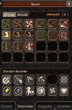 65 Level Zihinsel 4 Adet G Skilli