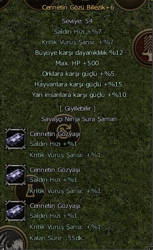 +6 Cennet Bilezik 10Yarı 12Büyü 500Hp