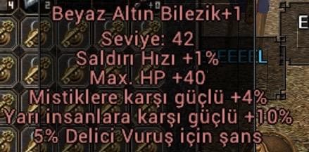 10 YARI 5 DELİCİ BİLEZİK