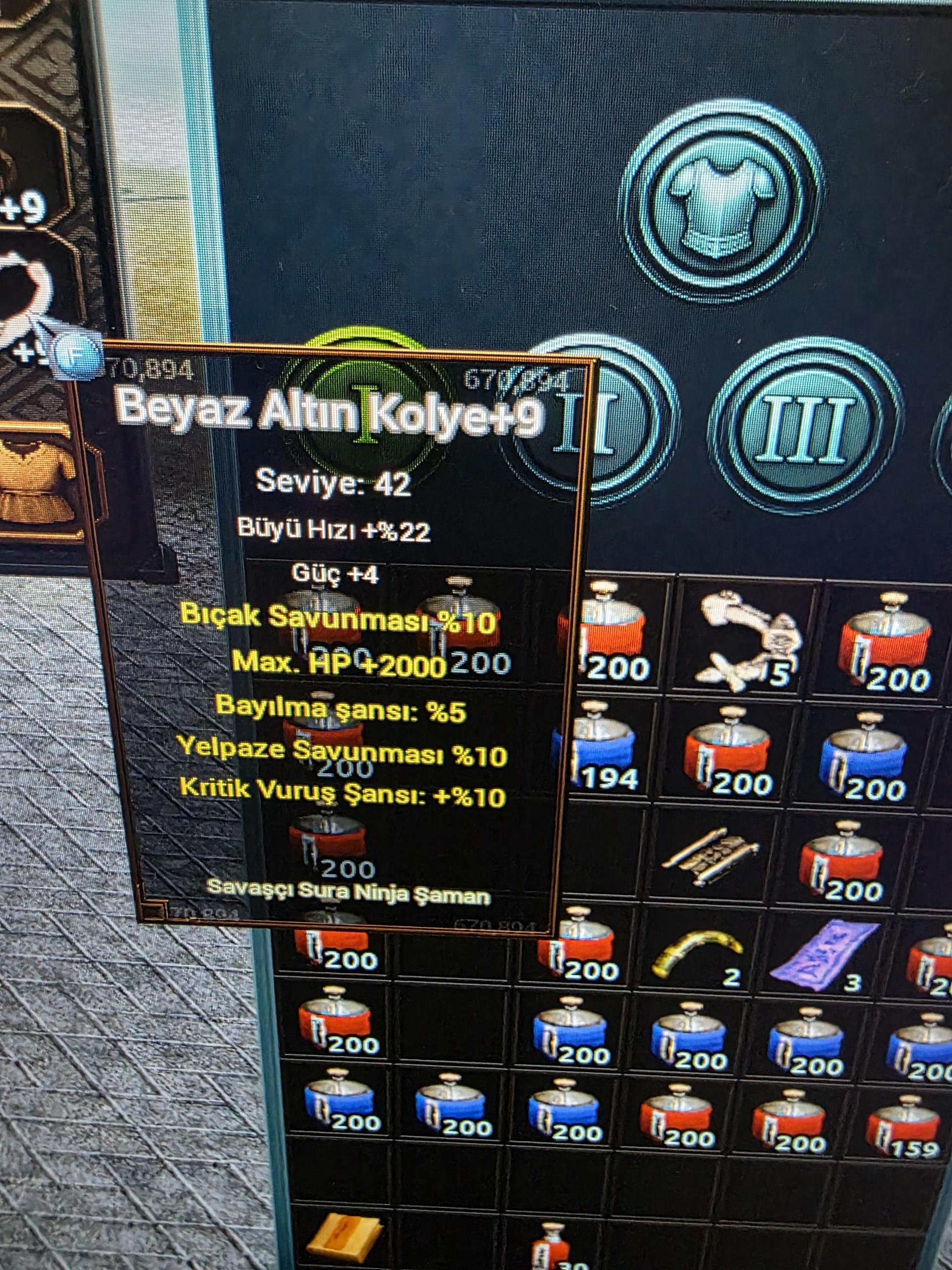 51 lvl 2 p bedensel at zırhlı biyo bitik kulelik itemli