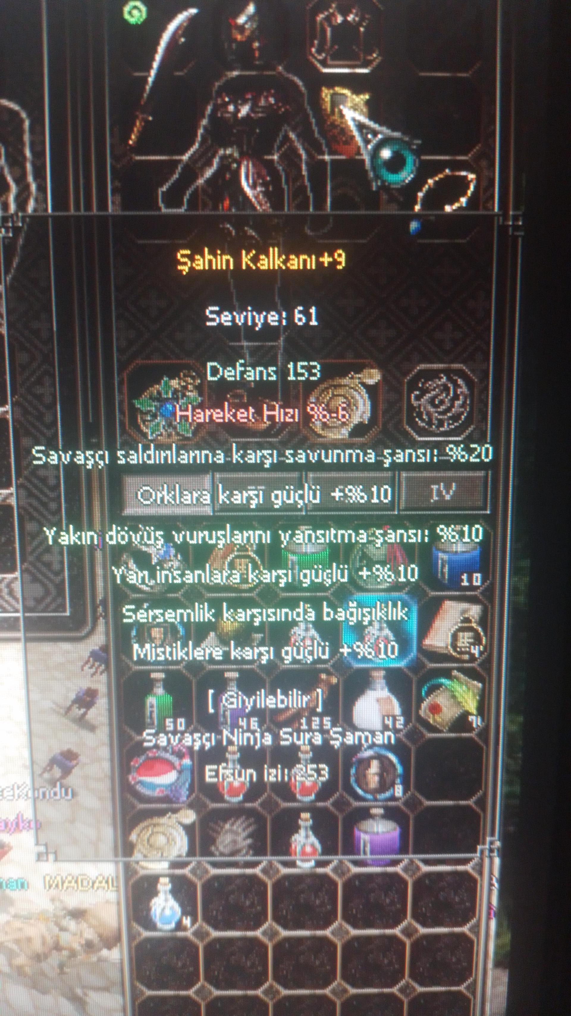 61 LVL 3 P BEDENSEL