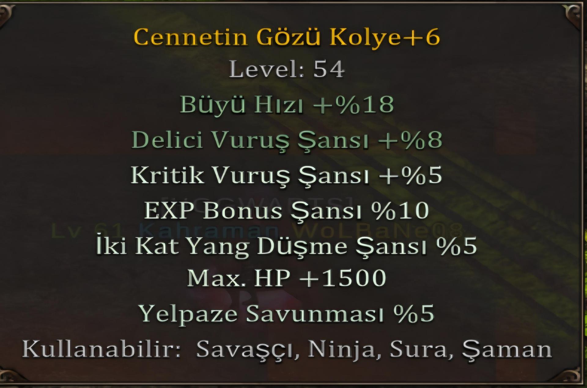 +6 cennet kolye 1.5k hp 5 krtik 10 exp