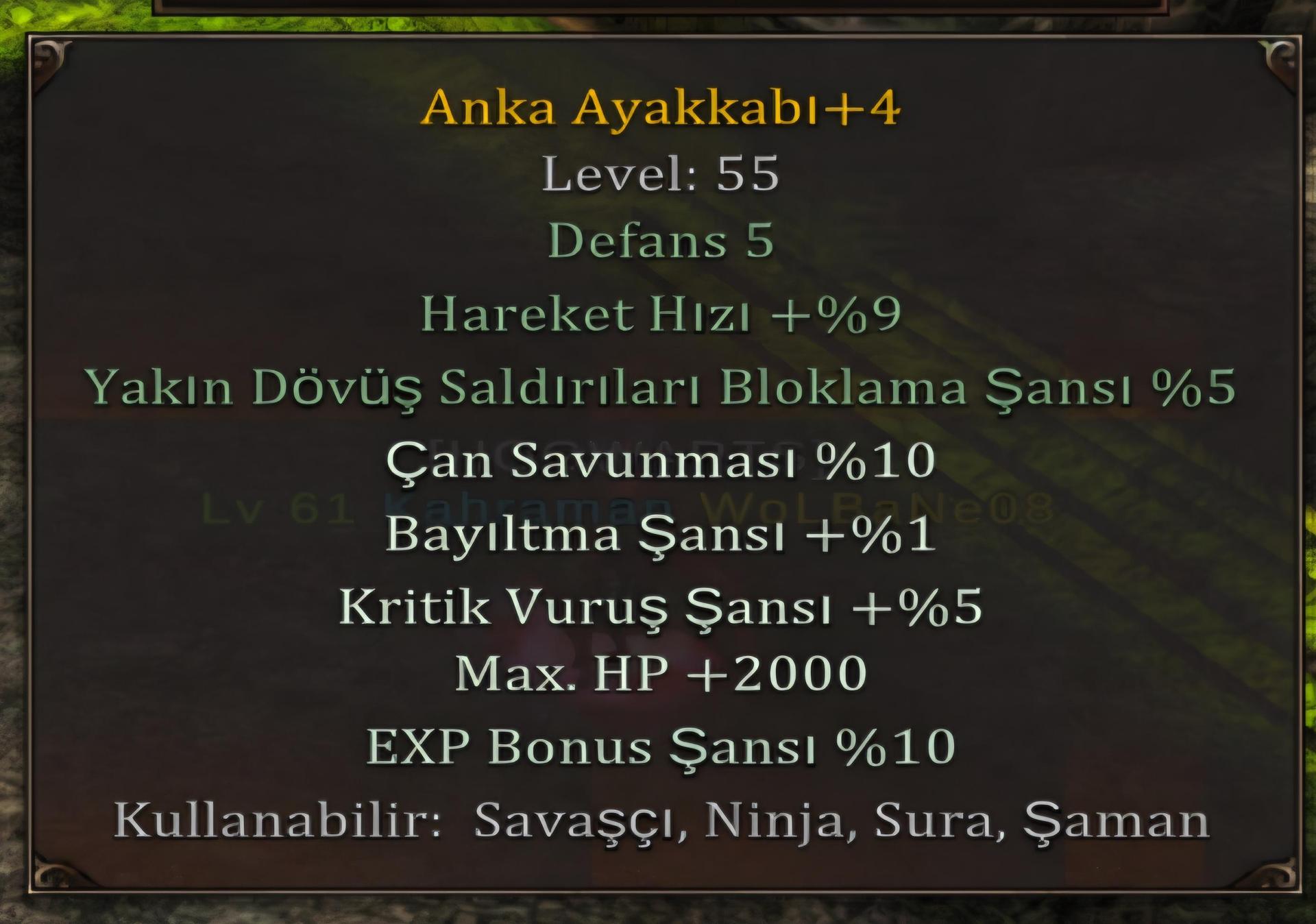 Anka ayakkabı 2k hp 5 krtik 10 exp