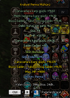 Pet Güzel