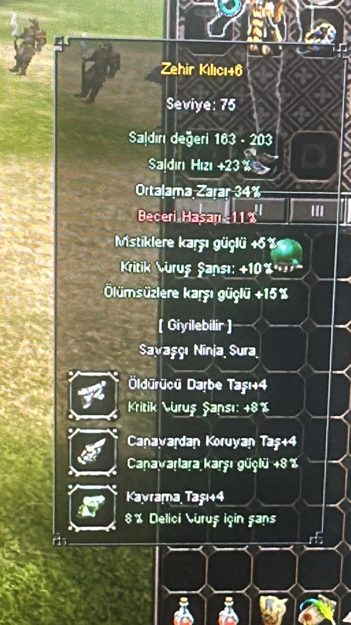 +6 Zehir (Kulelik)