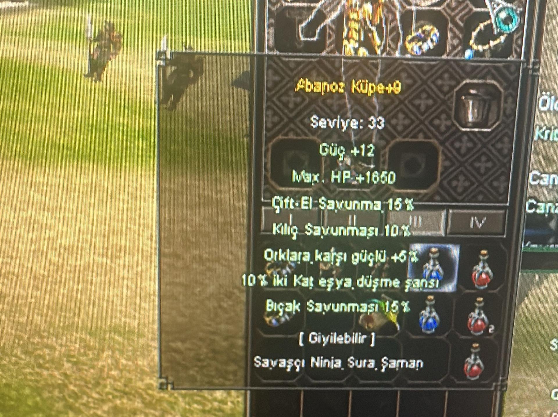 +9 Abanoz Küpe