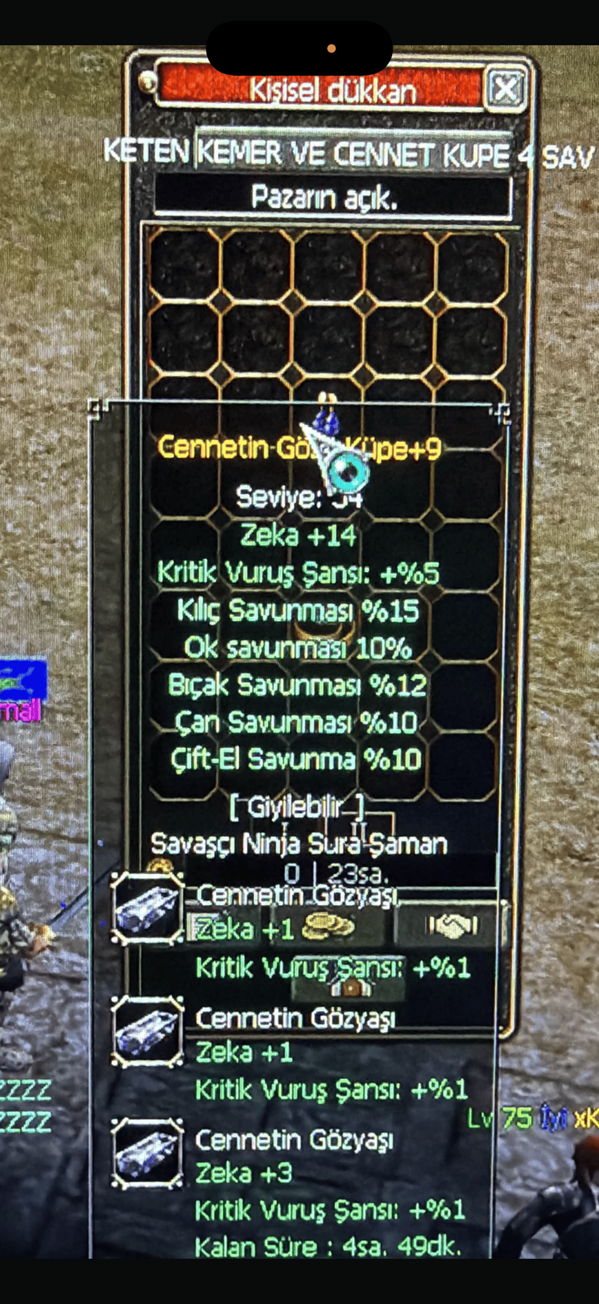 Wslik 5 Savunmalı cennet gözü küpe +9