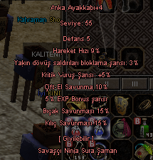 2-15 1-10 - KRITIKLI Anka Ayakkabı