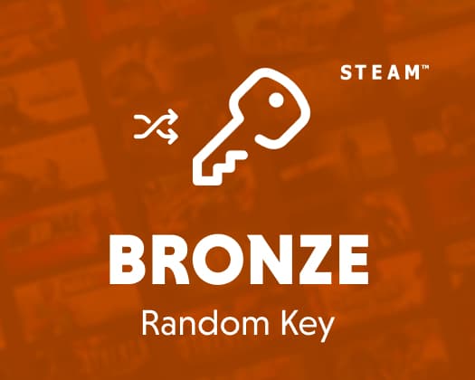 STEAM BRONZE KEY