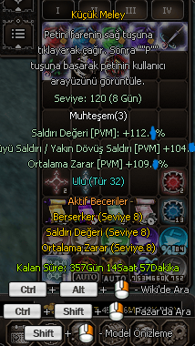TİP 32 FULL PET 120 LEVEL