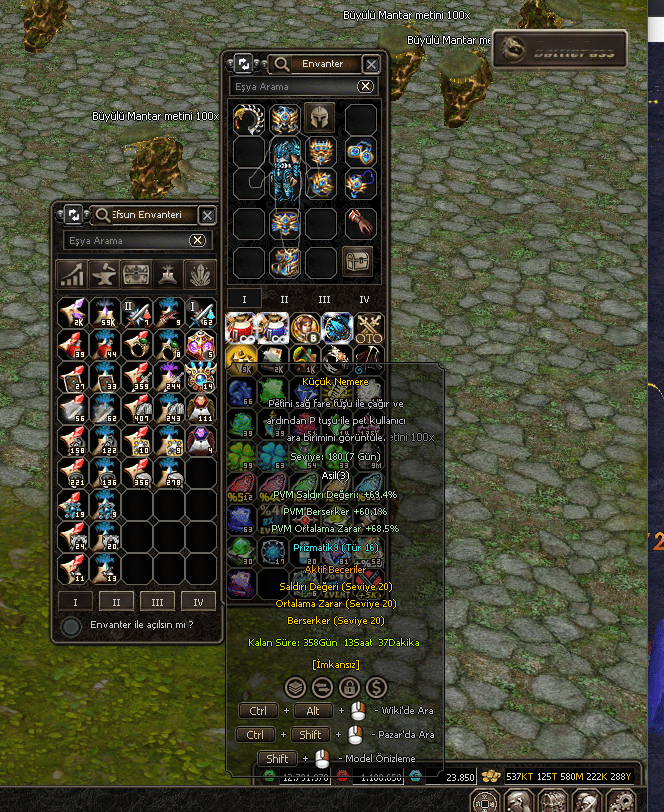 +5 ELDİVEN +180 LEVEL PET + 160 LEVEL BİNEK