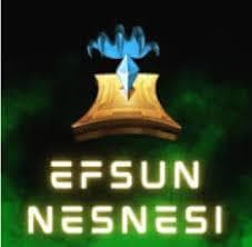 100 EFSUN HEMEN TESLİMM