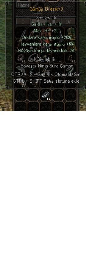 20 ork gümüş bilezik