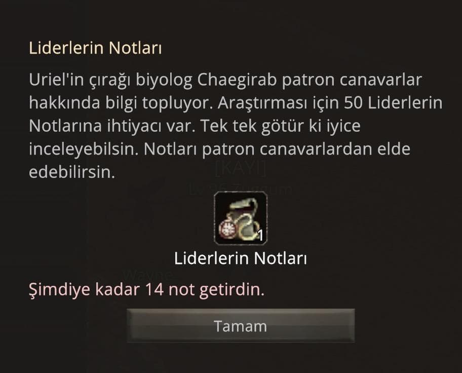 96 LV ZİHİNSEL