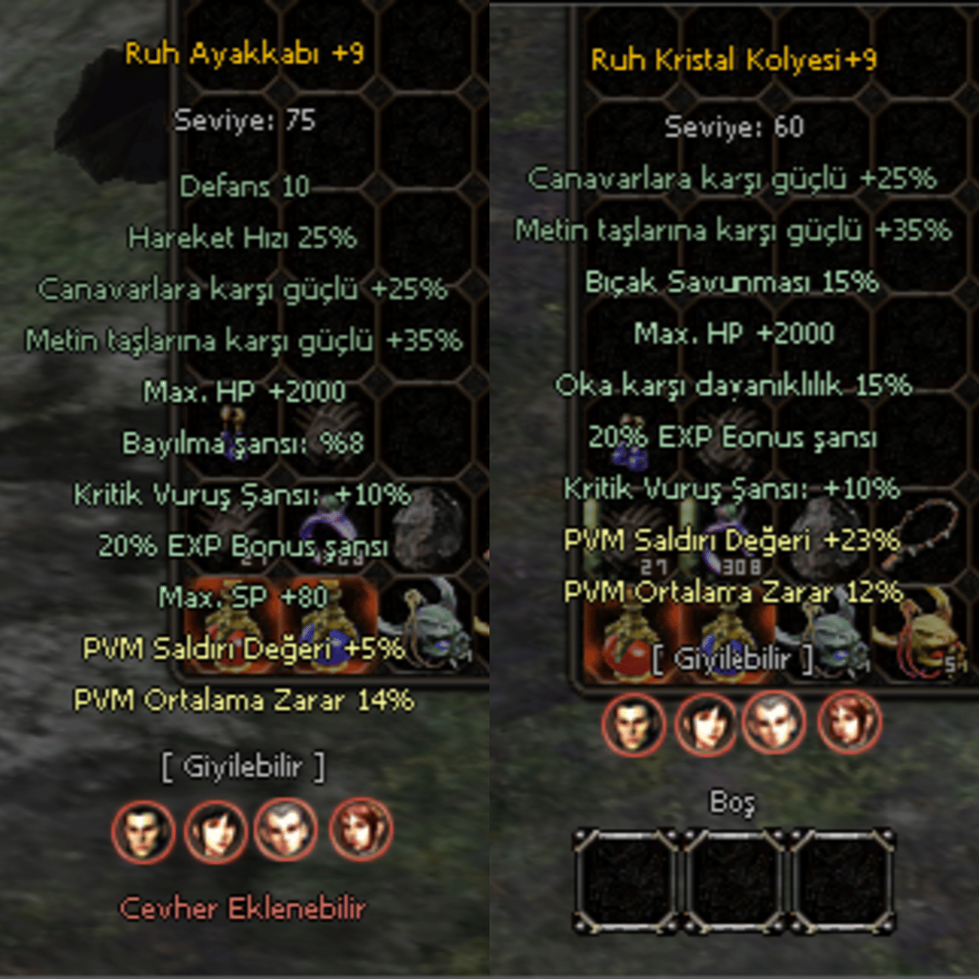 +9 Ruh Ayakkabı ve +9 Ruh Kristali Kolye