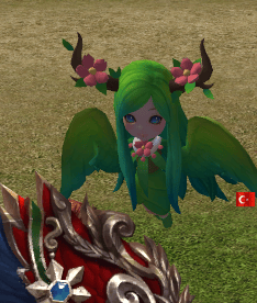 rare pet - nadir pet alıstira