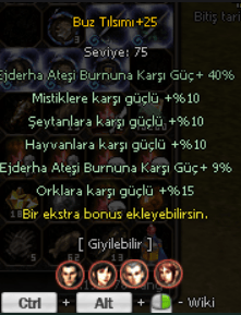 +25 TILSIM