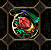 250 LEVEL FULL KİTAPLI PET