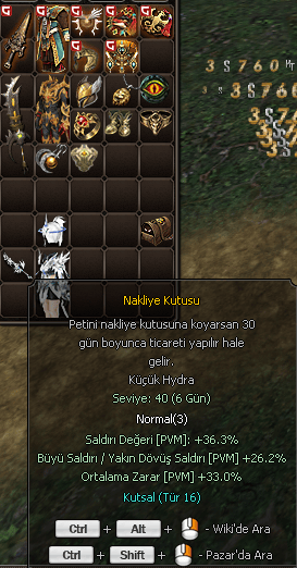 LANETLİ GÜÇLENDİRİCİ DEMİR PENÇE VE PET AÇIKLAMA OKU