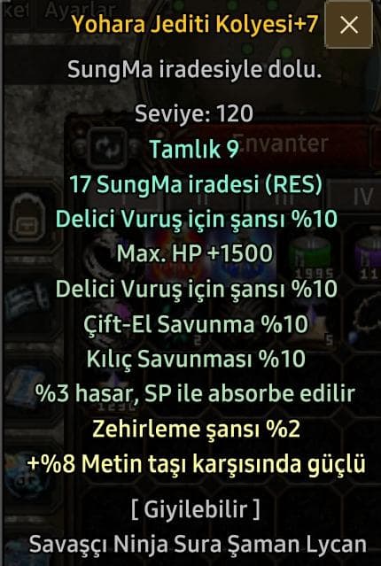 Jedit kolye ve jedit küpe