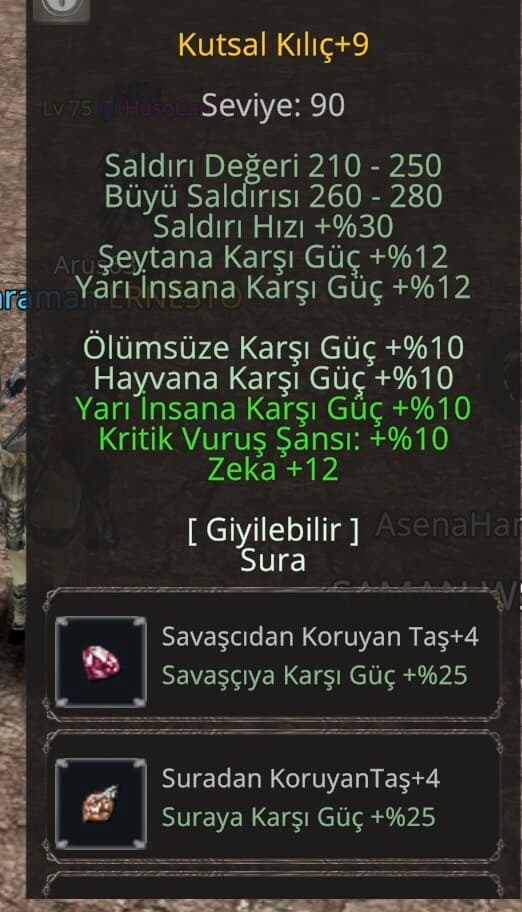 Elit kutsal kılıç