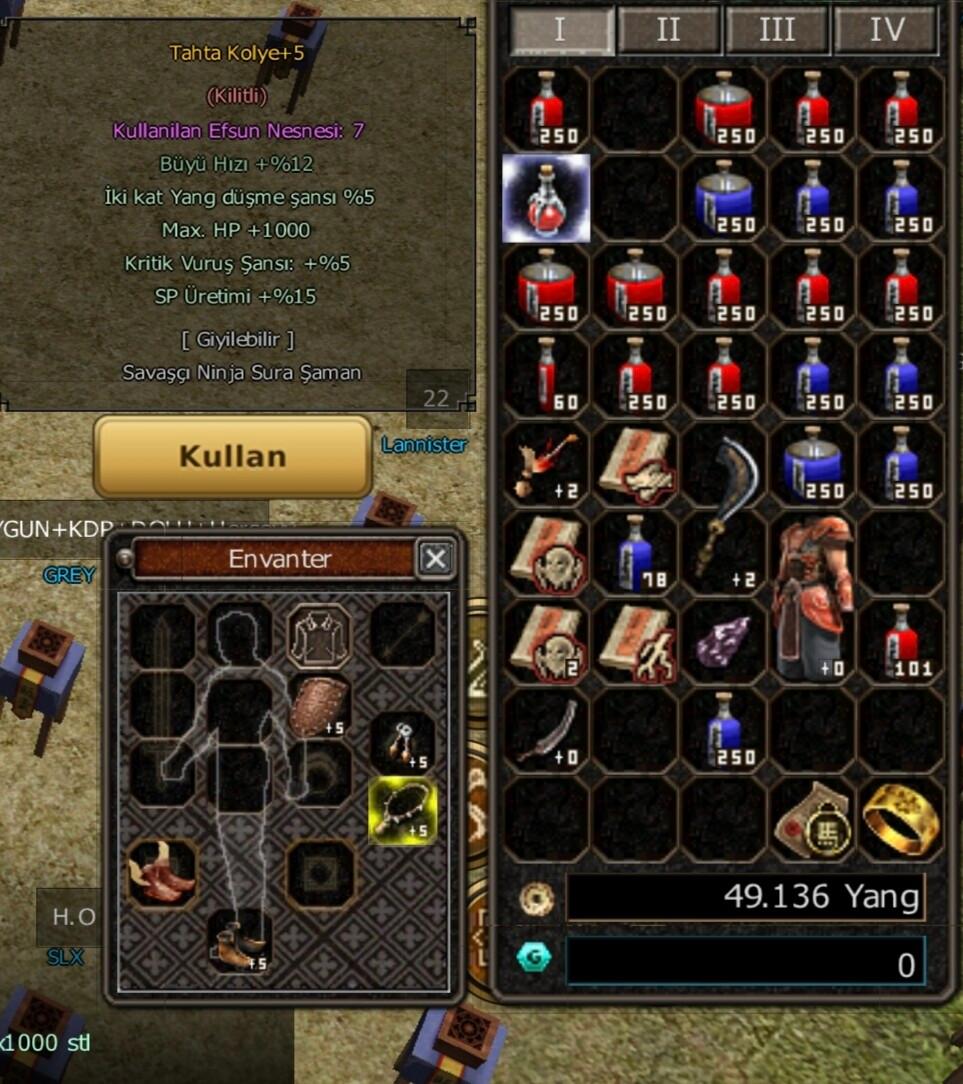 48 LVL GB M5 ORK DİŞİ BİTİK AT 11