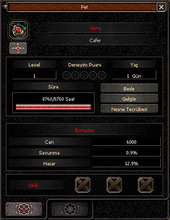 TİP 8 - 12.9 BAŞLANGIÇLI 1 LVL PET