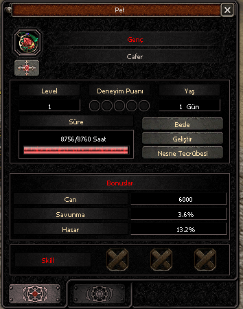 1 LVL PET - 13.2 BAŞLANGIÇ - TİP 8