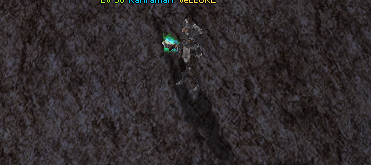 50 lvl 21 at  hava g1