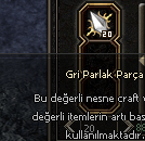 20x gri parlak parça