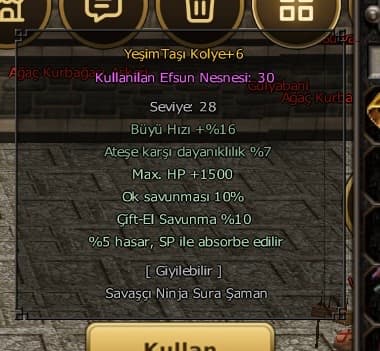 58 lvl itemli Sura P6