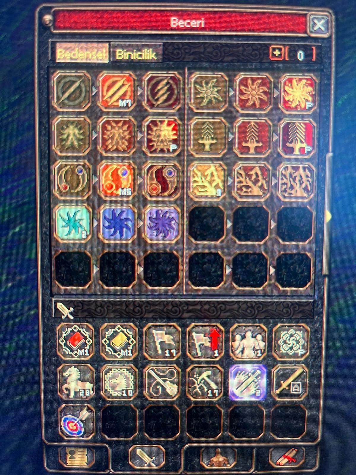 95 LVL 3 P HESAP