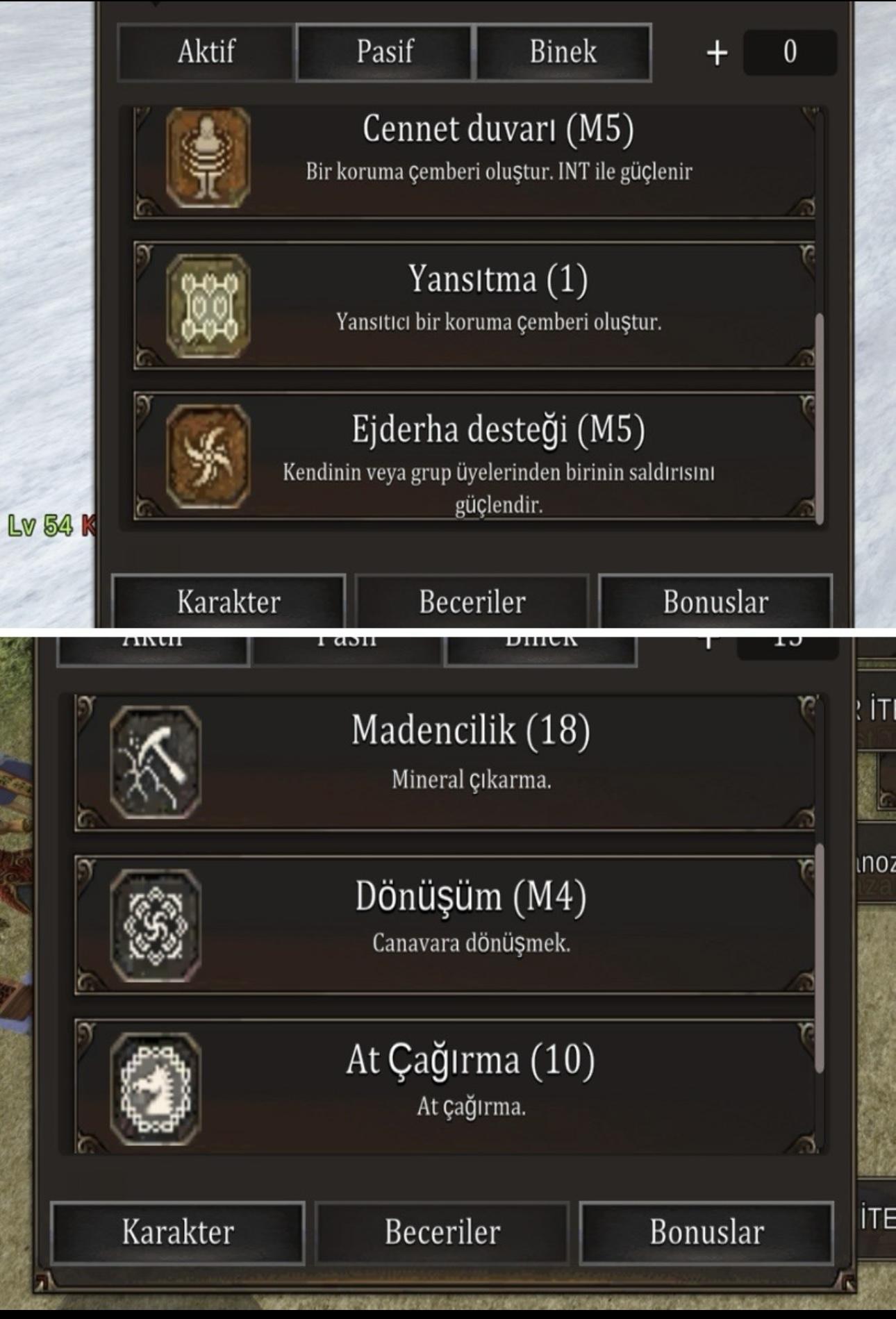54 LVL BEDENSEL 37 LVL ŞAMAN
