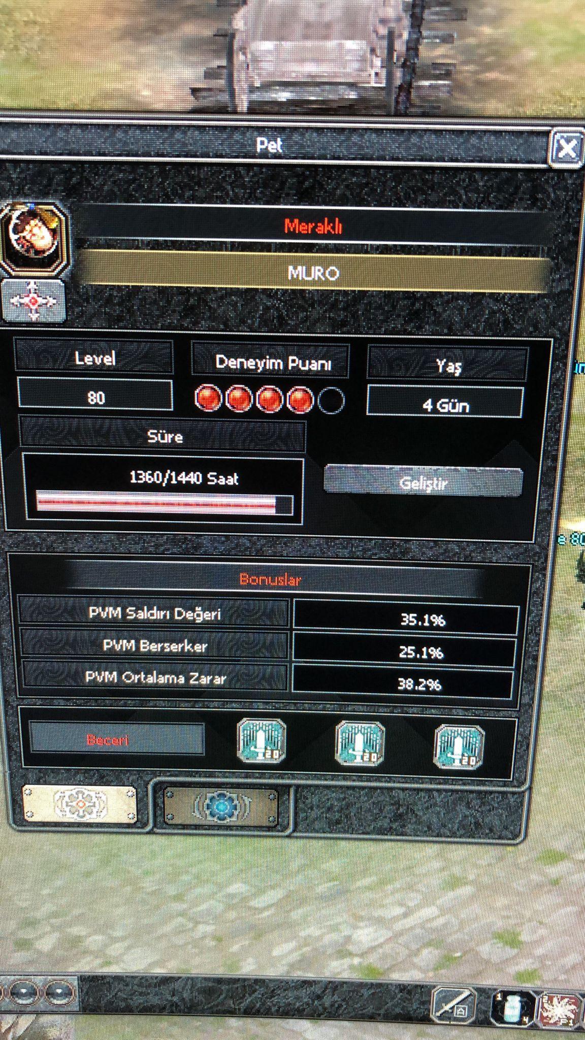 TİP 16 LEVEL 80 FULL KİTAPLI PET RESME BAK HASARINI KATLAAAA