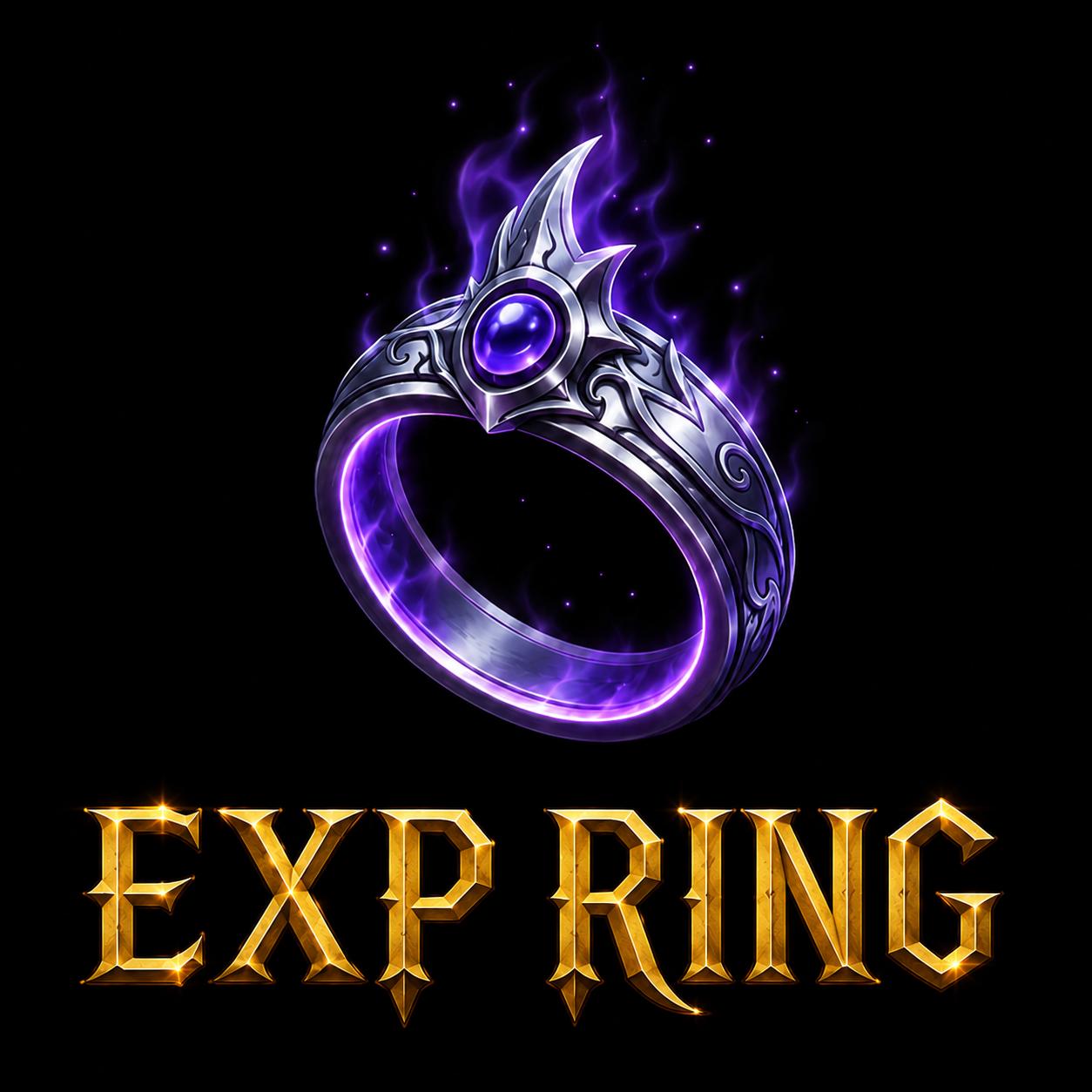 10x Tecrübe Yüzüğü > EXP Ring (Type for more, Fazlası için mesaj at)