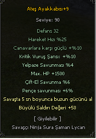 50 B.STR + 5 BUZ ELİT ATEŞ AYAKKABI