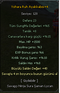 40 B.STR 4 BUZ YOHARA AYAKKABI