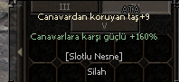 +9 CANAVAR TAŞI
