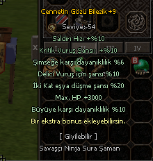 CENNETİN GÖZÜ BİLEZİK +9 SADECE TEKLİF