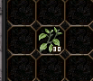 30 SOLUK KIR OTU