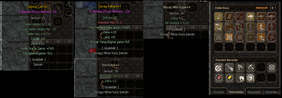50 LVL KRİTİKCİ ŞAMAN