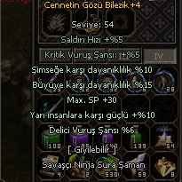 10 yarı 15 buyu 6 delici cennetin gözü bilezik
