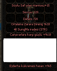 +15 zırh elit kusak +9 ateş ayakkabı ACIKLAMA OKU