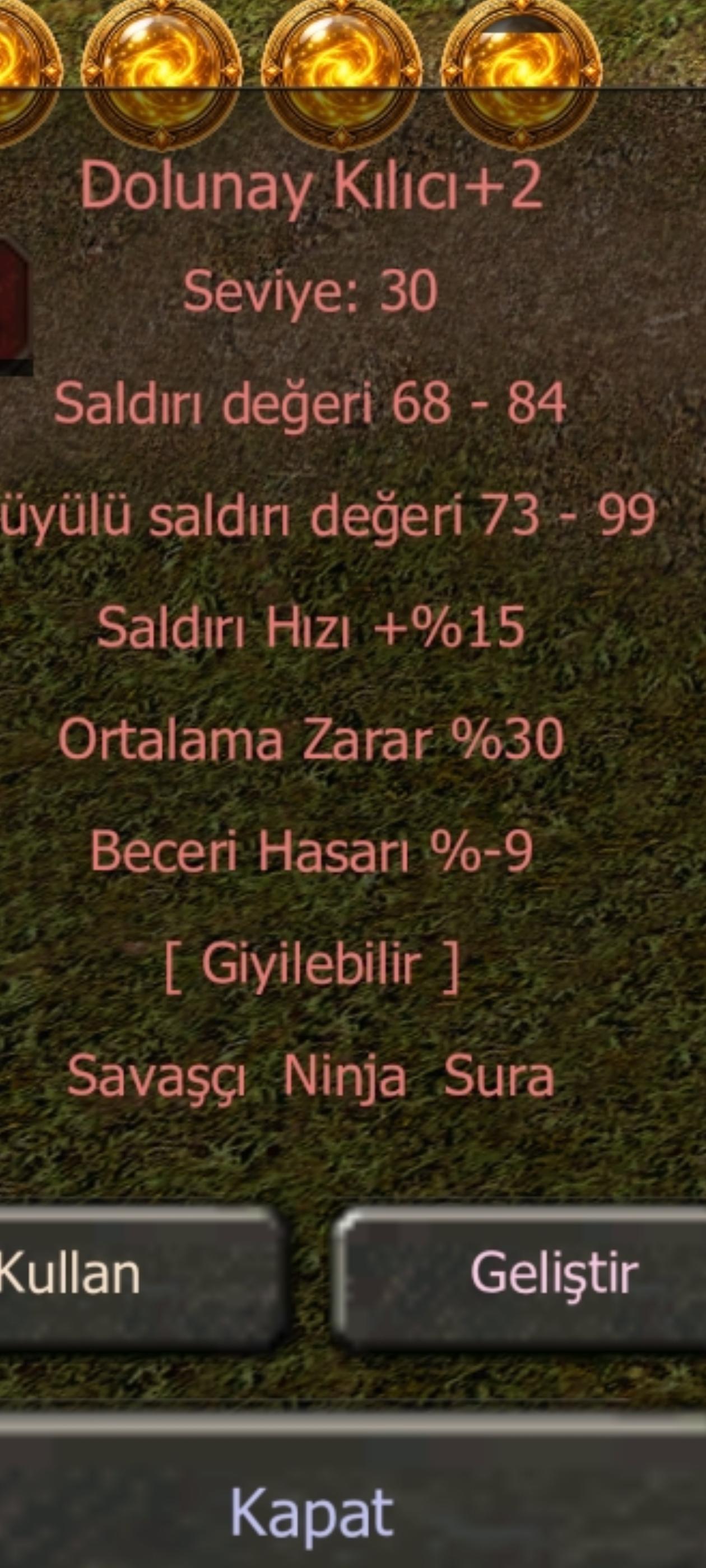 30 ORT DOLUNAY