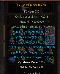 SON DÖNÜŞÜM BİLEZİK