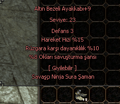 +9 Altın Bezeli Ayakkabı