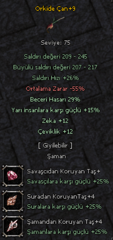 29 YARI ZEKA ÇEVİKLİK ORKİDE