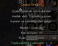 +5 OYUN SONU ORAK