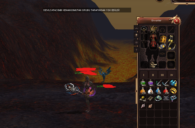 WSLIK ŞAMAN EL 20 AÇIKLAMA DETAY