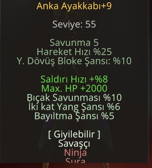 Anka Ayakkabı +9